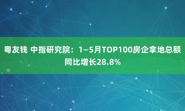 粤友钱 中指研究院：1—5月TOP100房企拿地总额同比增长28.8%
