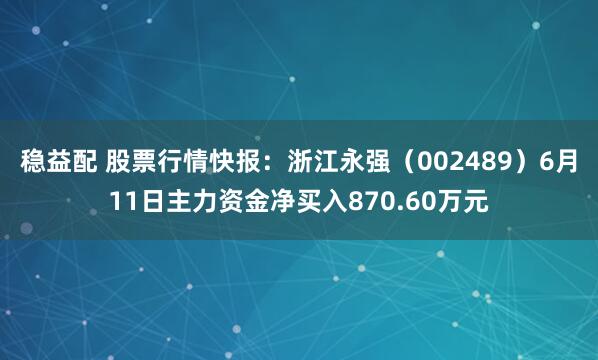 稳益配 股票行情快报：浙江永强（002489）6月11日主力资金净买入870.60万元