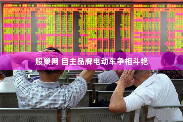 股巢网 自主品牌电动车争相斗艳