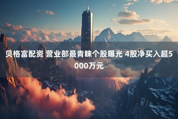 贝格富配资 营业部最青睐个股曝光 4股净买入超5000万元