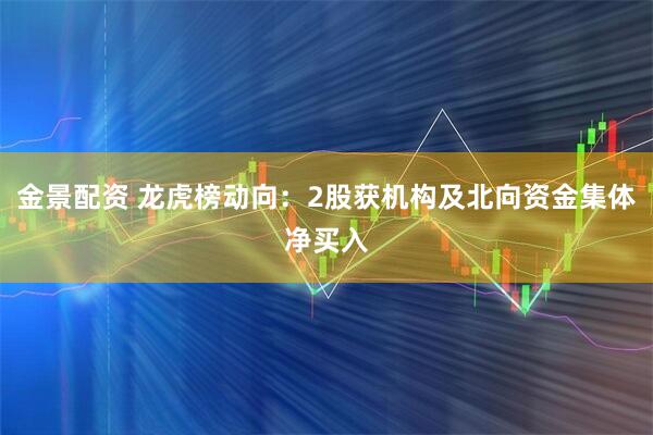 金景配资 龙虎榜动向：2股获机构及北向资金集体净买入